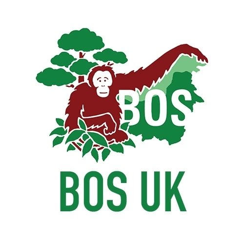 Borneo Orangutan Survival