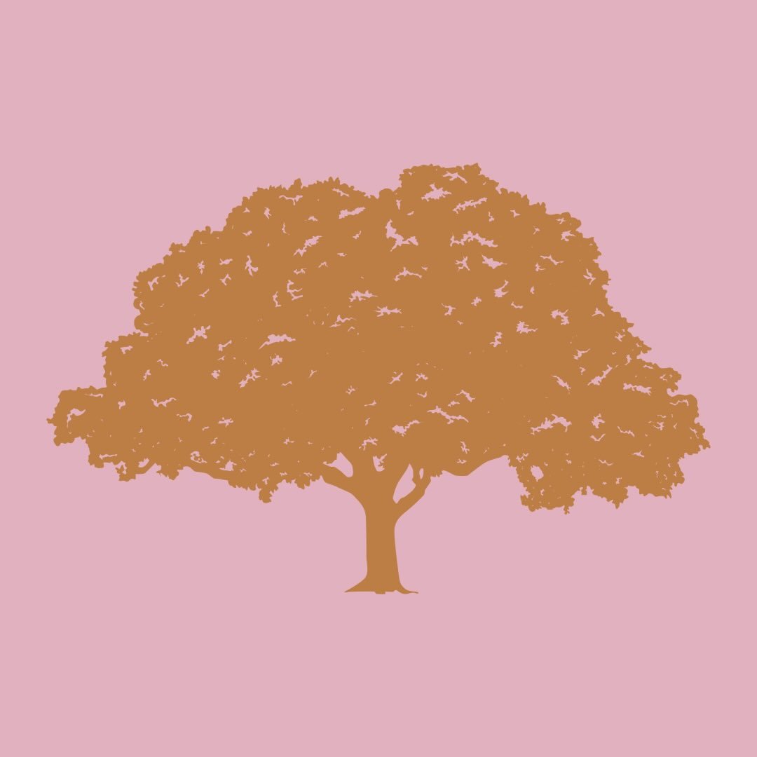 Tree Hut