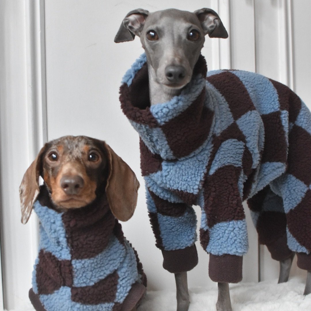 Hilary’s Hounds