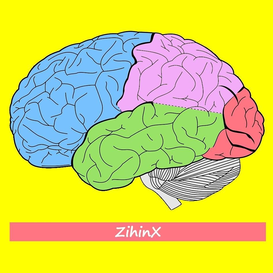 ZihinX
