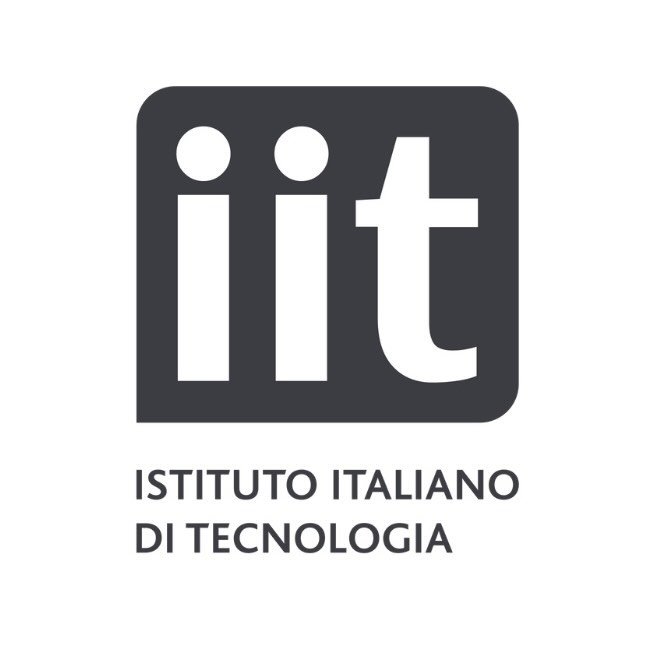 Istituto Italiano Di Tecnologia
