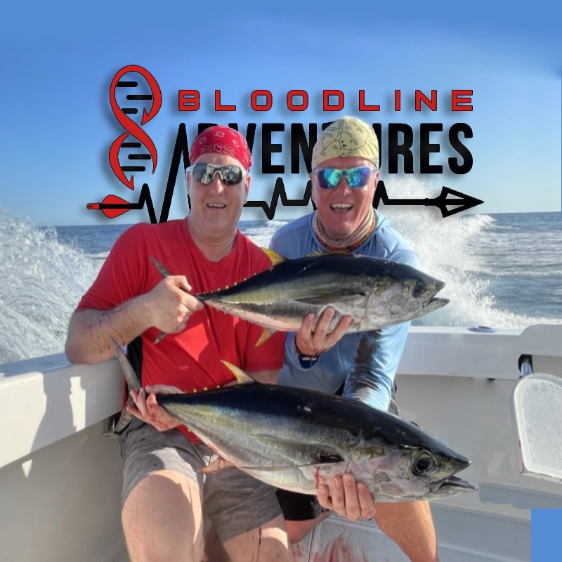 Bloodline Adventures