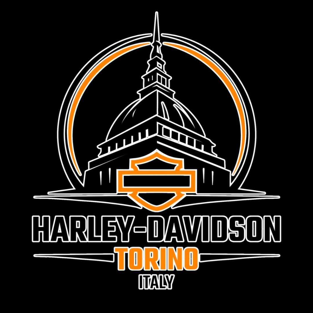 HARLEY DAVIDSON TORINO