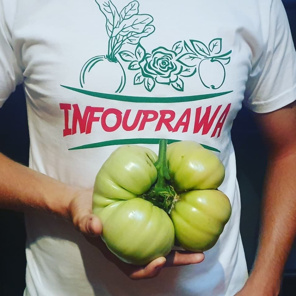 Infouprawa