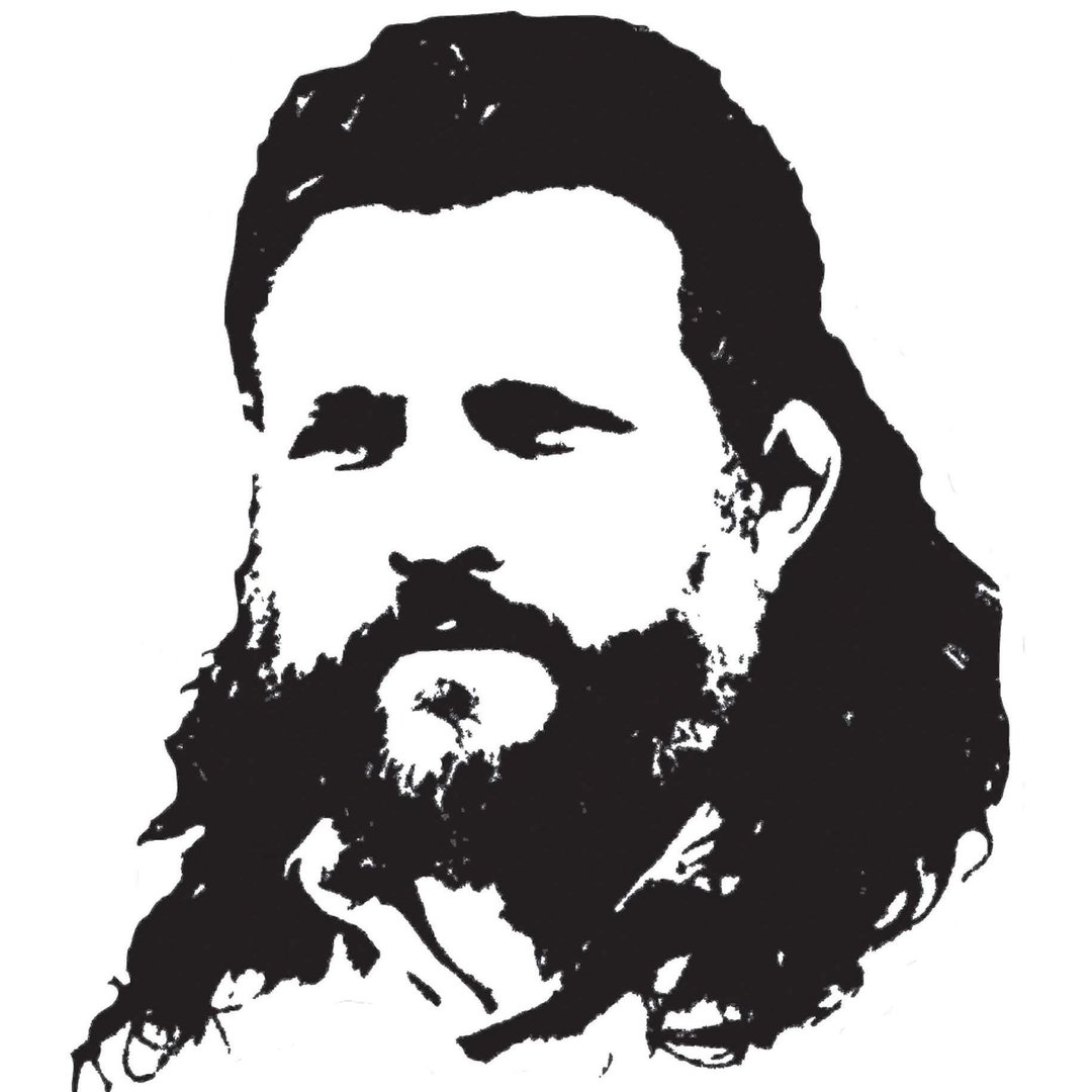Roy Big Country Nelson Mma Ufc
