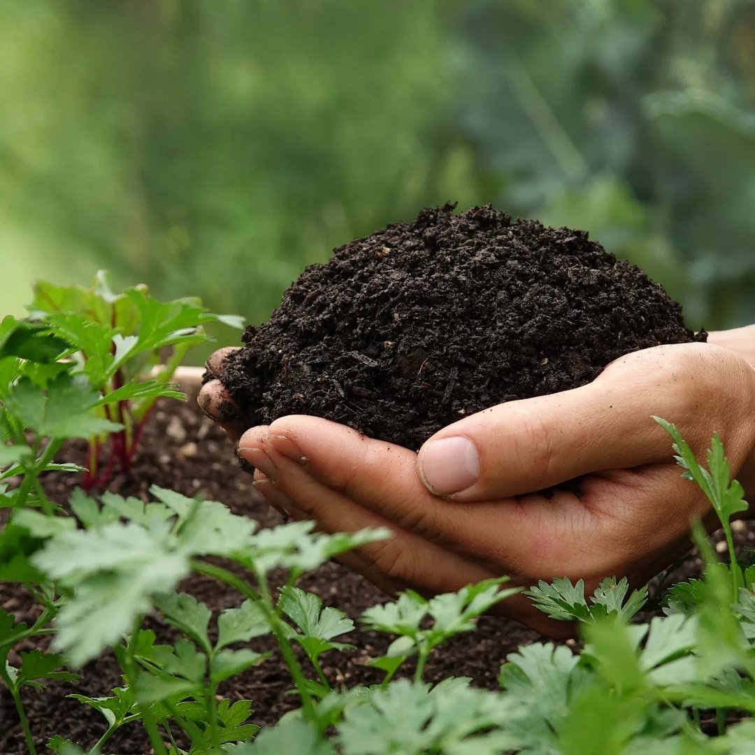 Manuel Angerer - Temperate Climate Permaculture