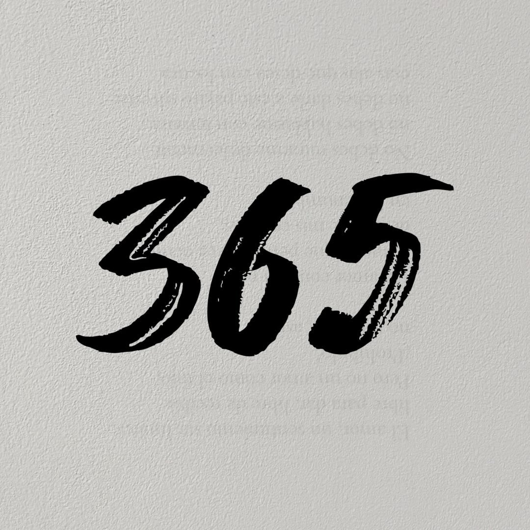 ˗ˏˋ 365 ˎˊ˗