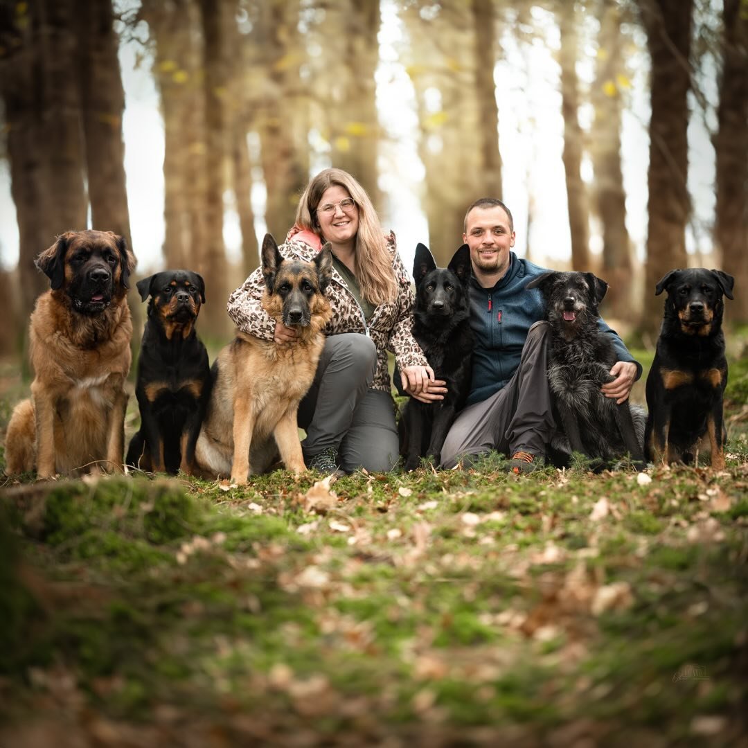 Ulmer Hundetrainer