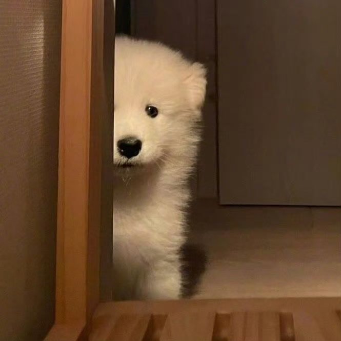 BaekHyun.