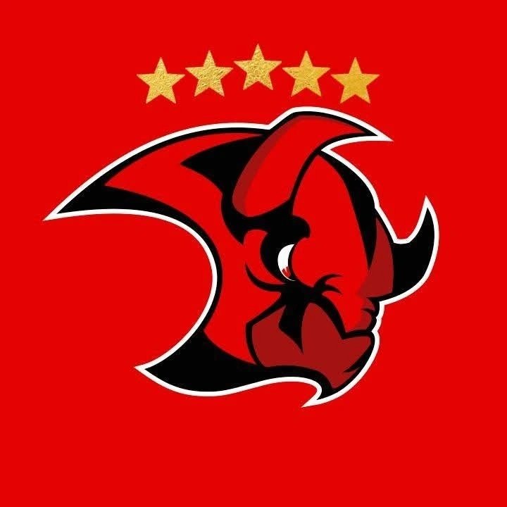 Saale Bulls TV