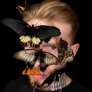 Adrian Kozakiewicz/Insecthaus®