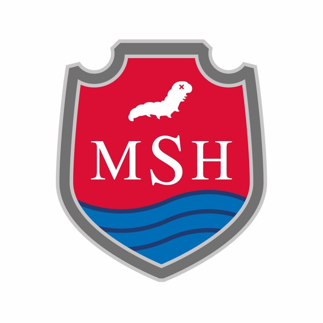 MSH Medical School Hamburg