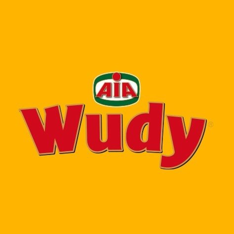 AIA Wudy