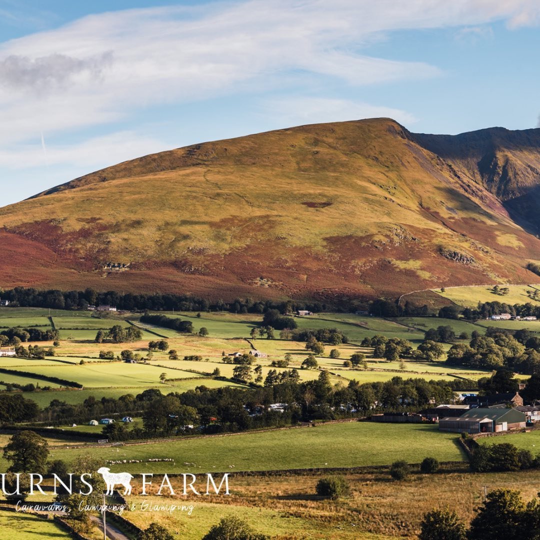 Burns Farm