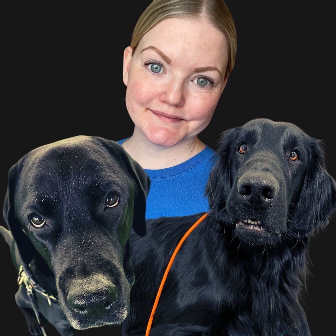 Åsa Jonsson