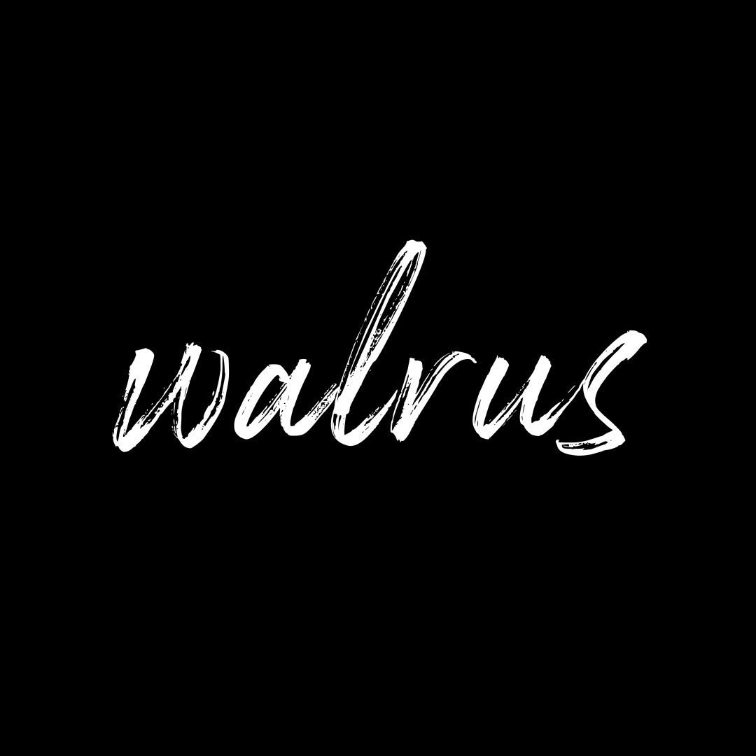 Walrus Climbing