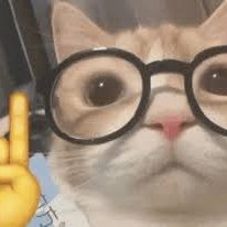 KittyExplain