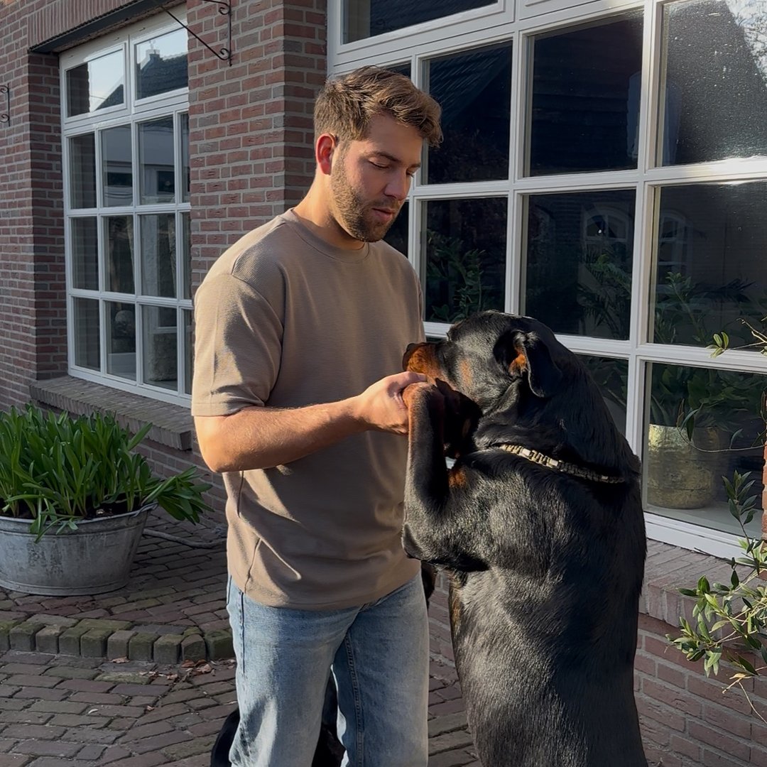 Daan Koene
