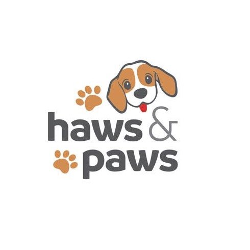 Köpekler hakkında her şey
