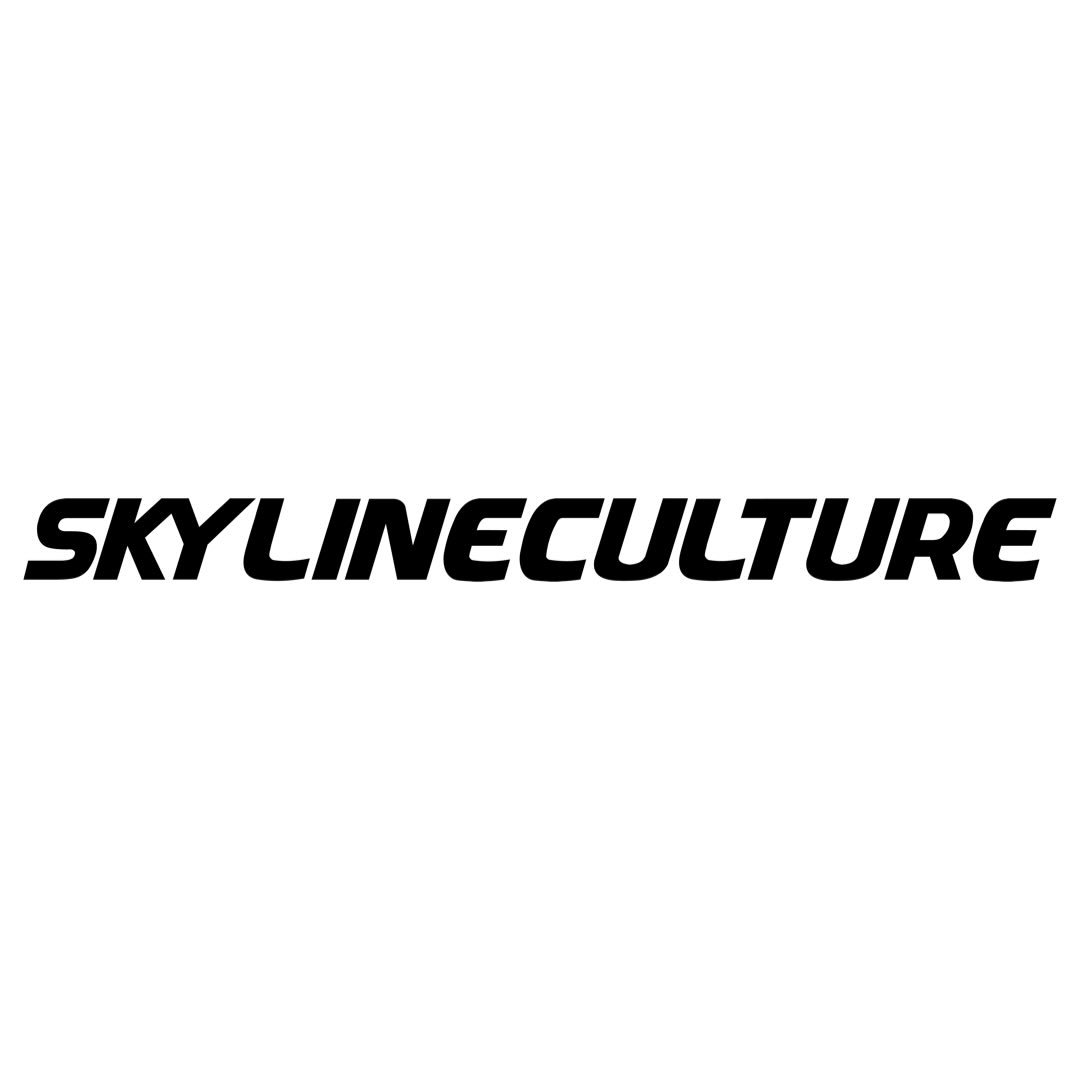 SKYLINECULTURE