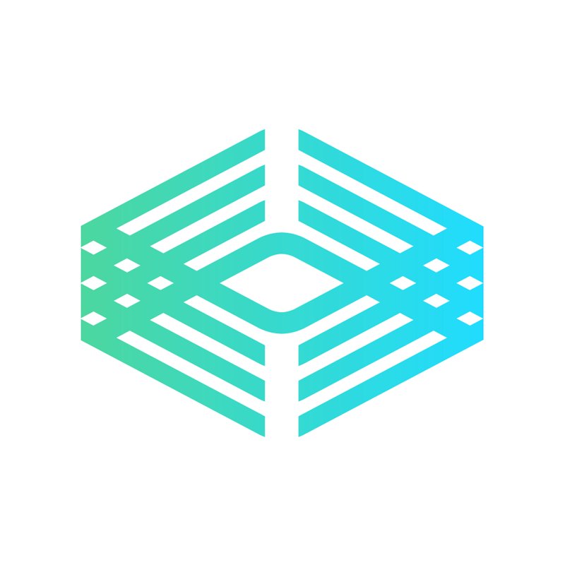 Visual Snow Initiative