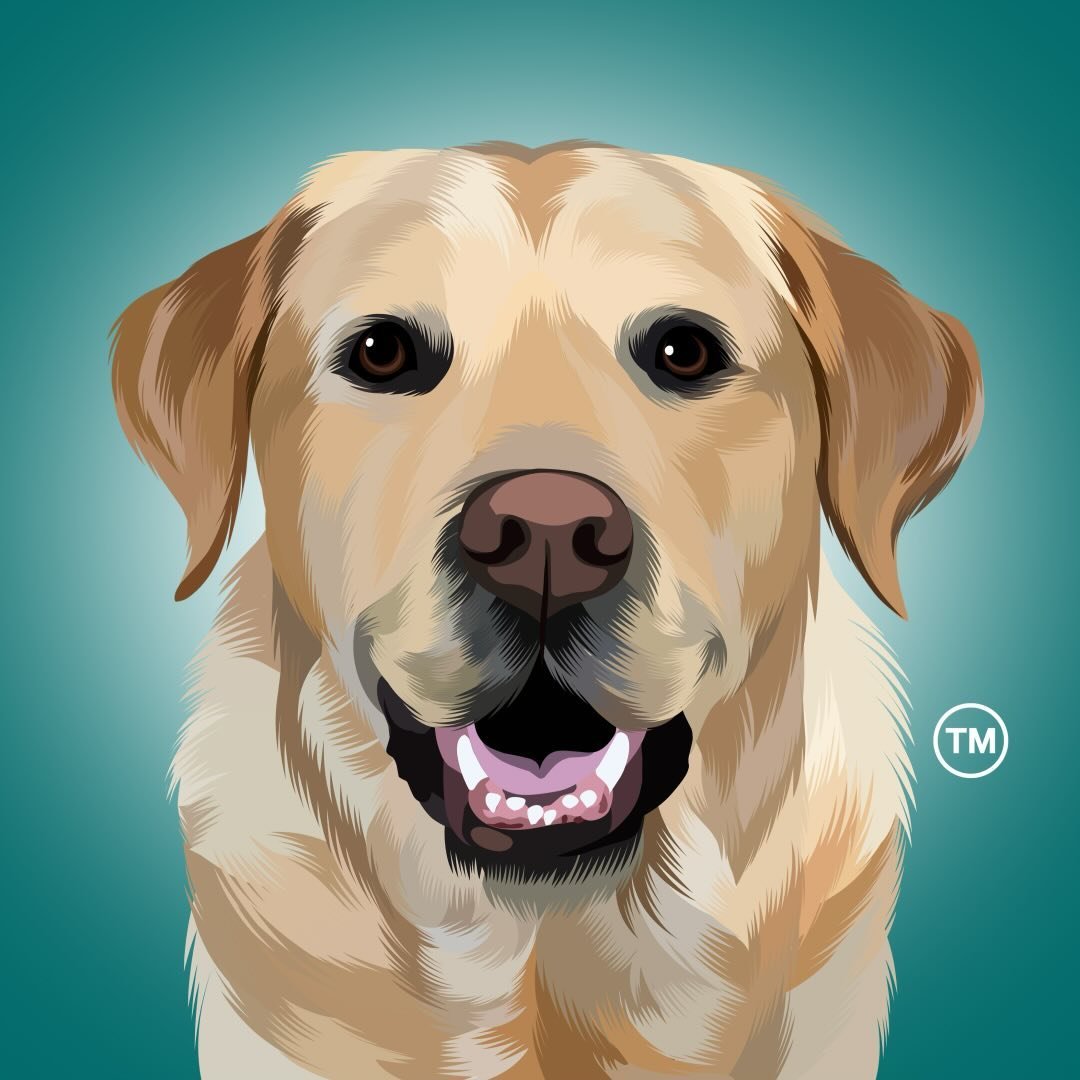 Magnus The Therapy Dog