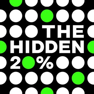 The Hidden 20%