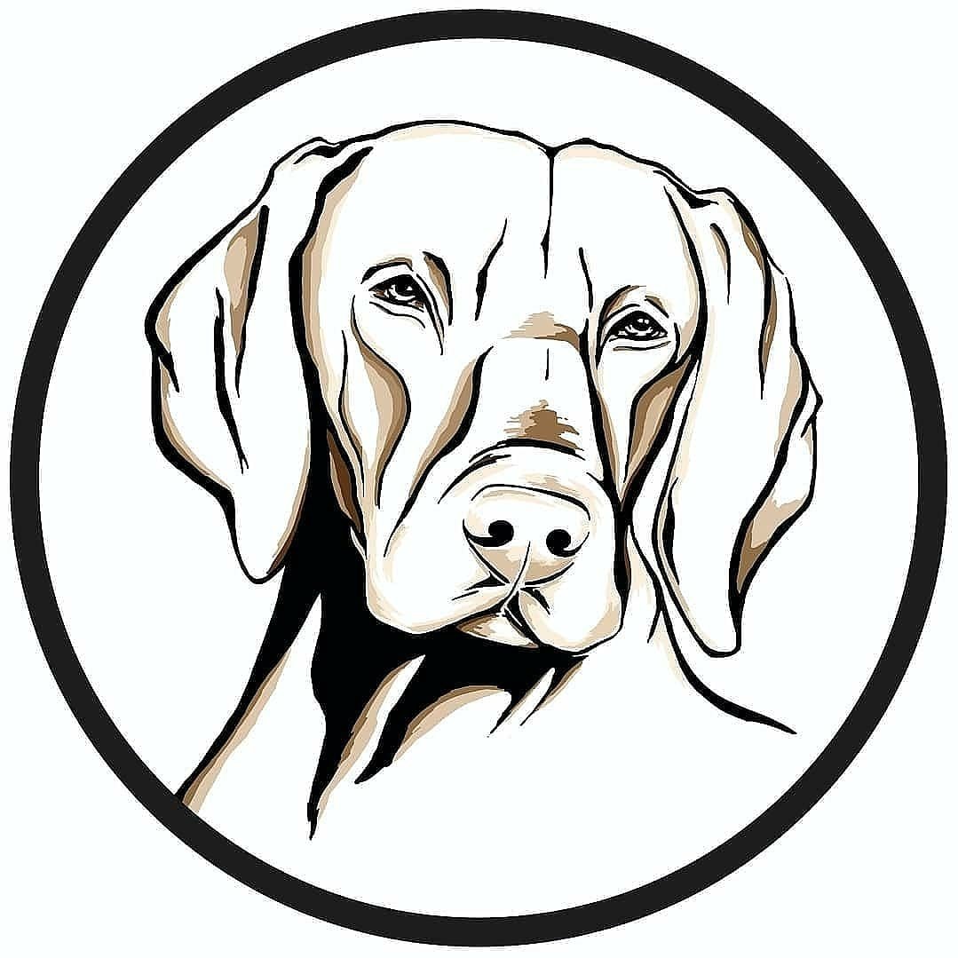 Hundeschule Alpha Dog