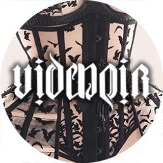 Videnoir