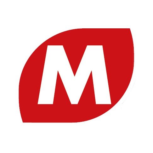 Magni Telescopic Handlers