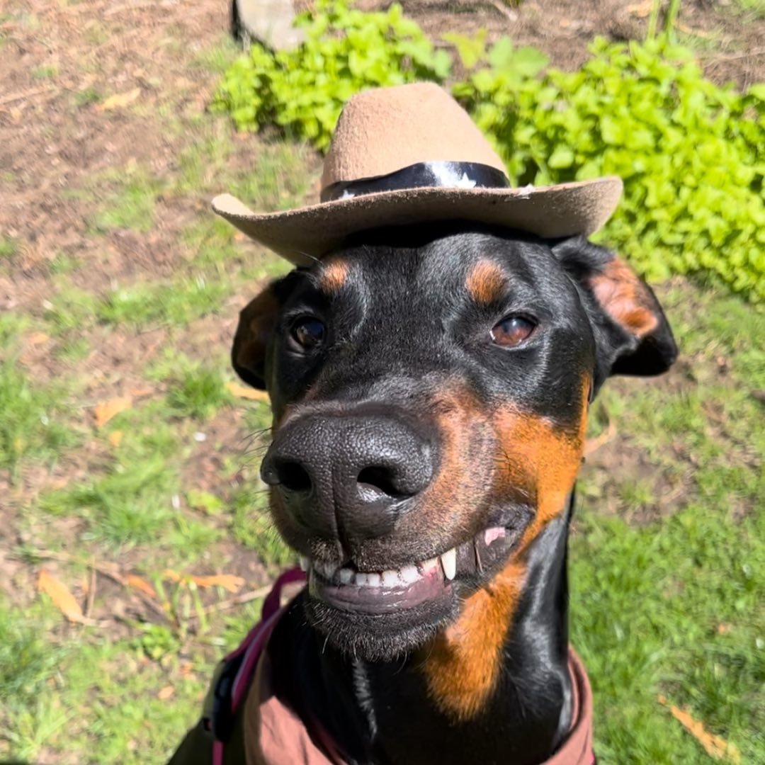Cowboy ❤️
