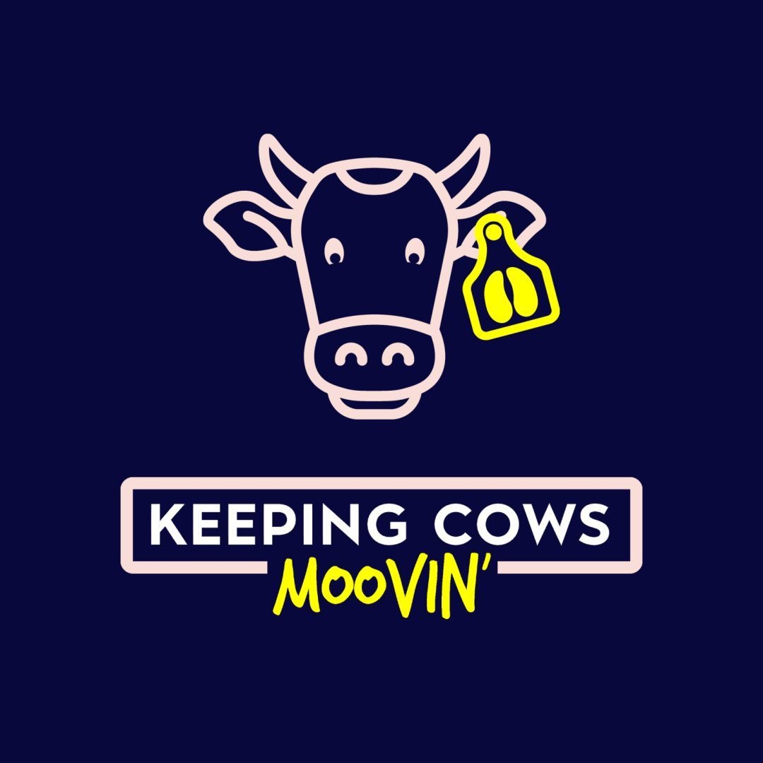 Keepingcowsmoovin