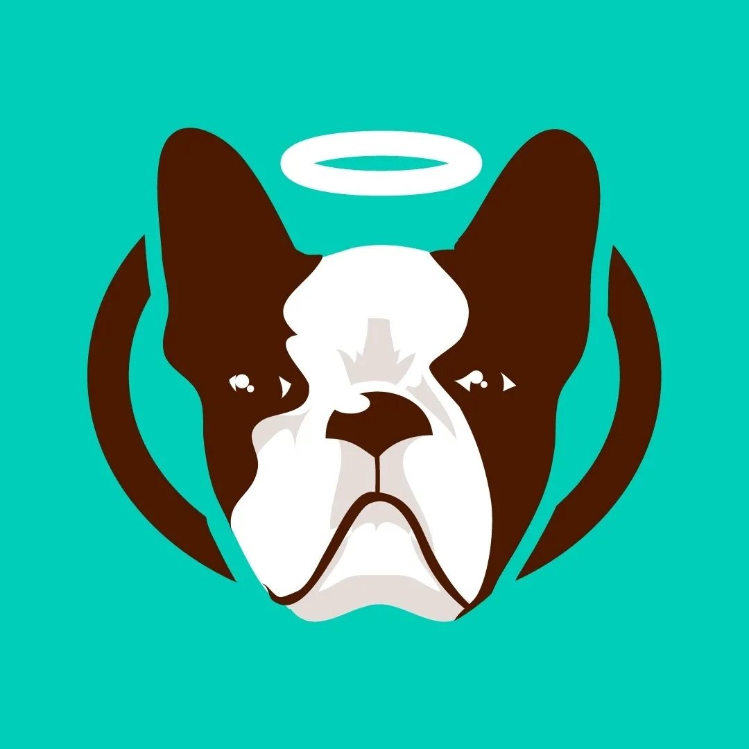 Natural Dog Company