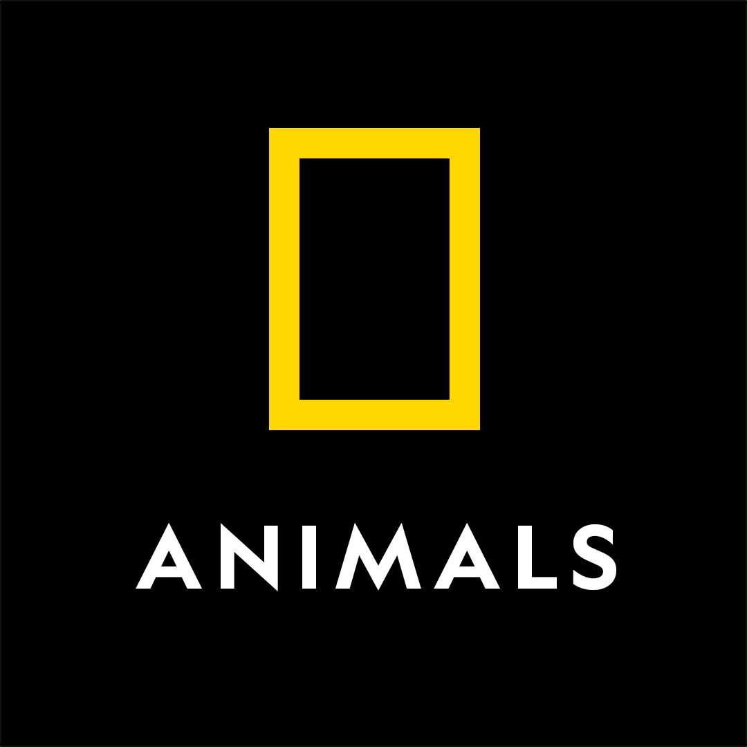 National Geographic Animals