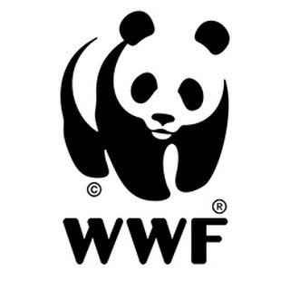 Wwf International
