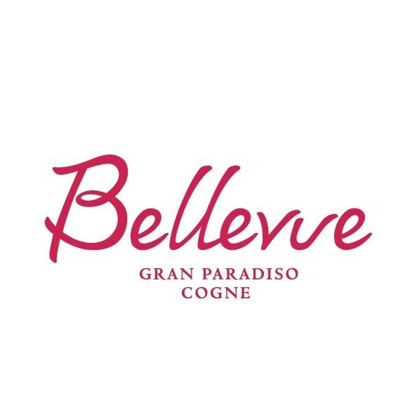 Bellevue Hotel  & Spa