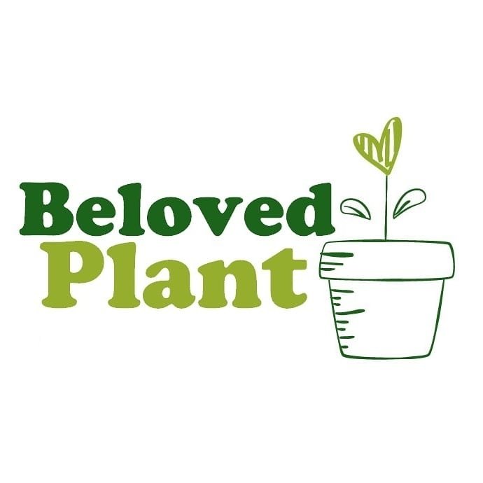 Querida Planta