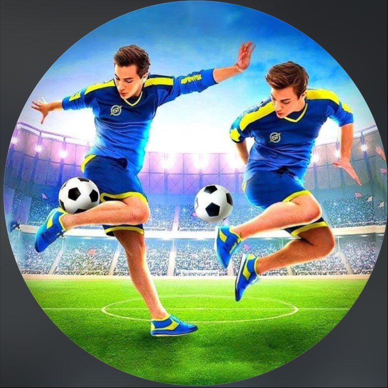 SkillTwins ????
