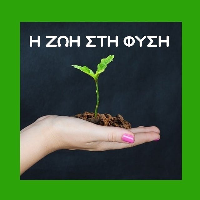 Η ΖΩΗ ΣΤΗ ΦΥΣΗ