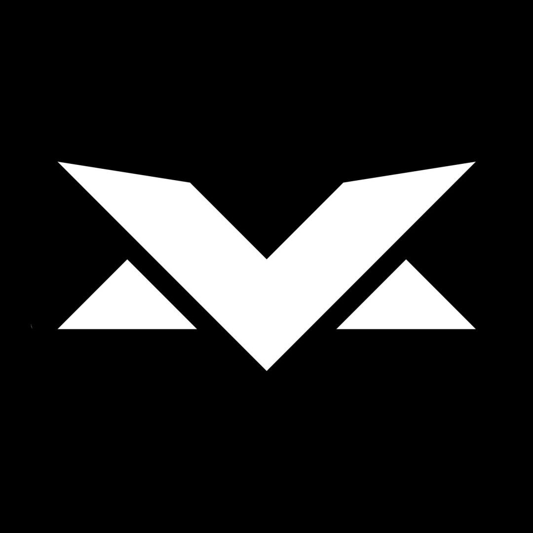 Verstappen.com