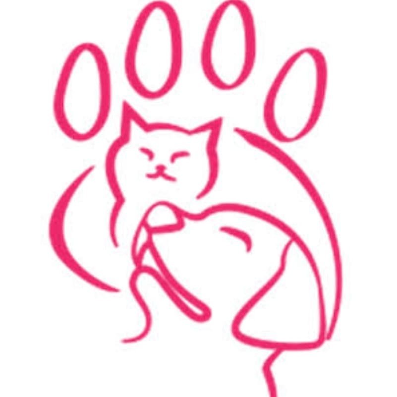 Patiliyo