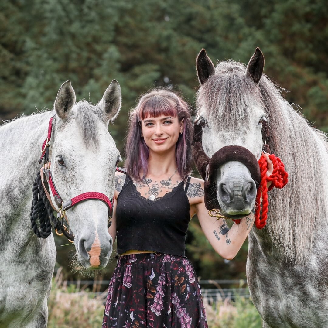 molly & the greys