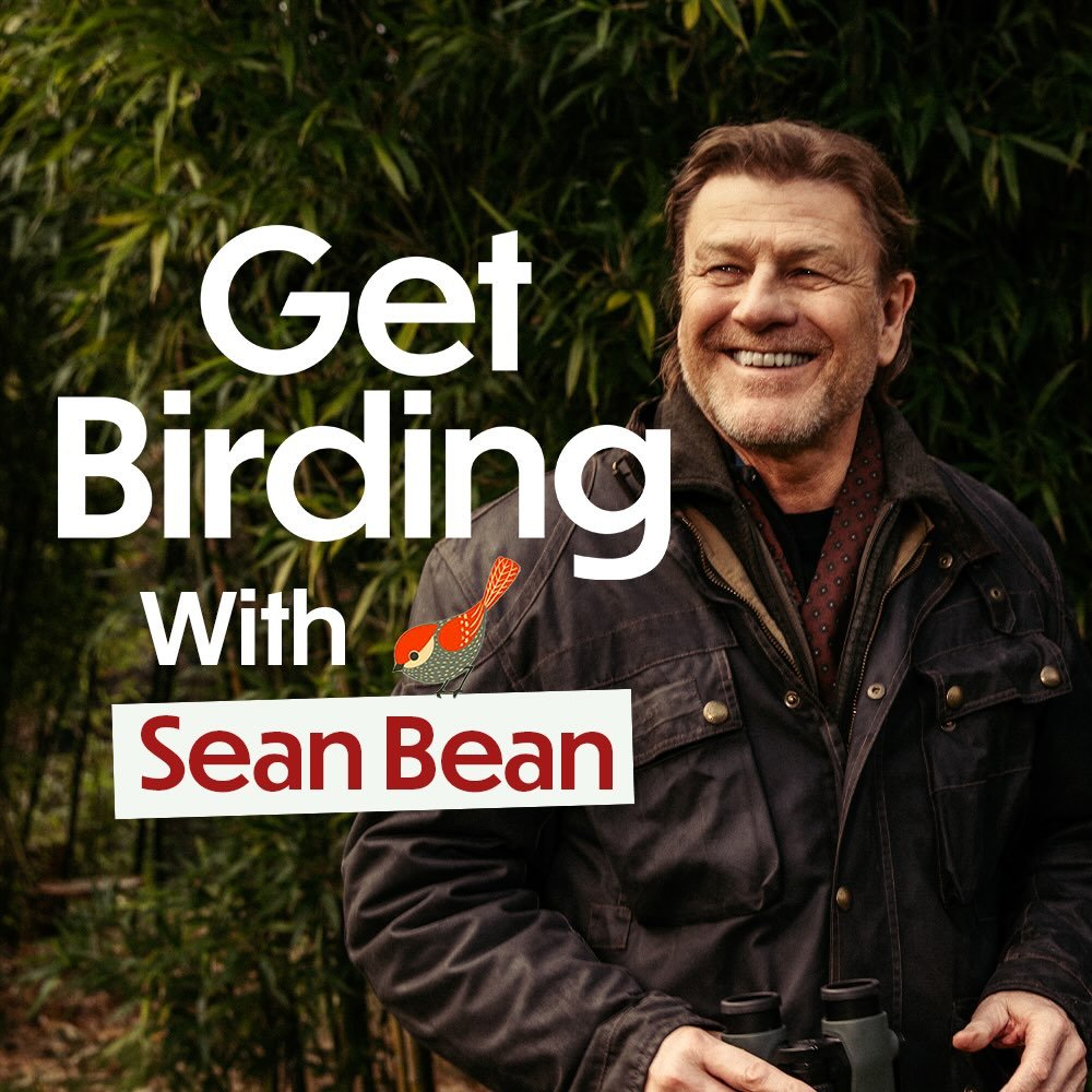 Get Birding
