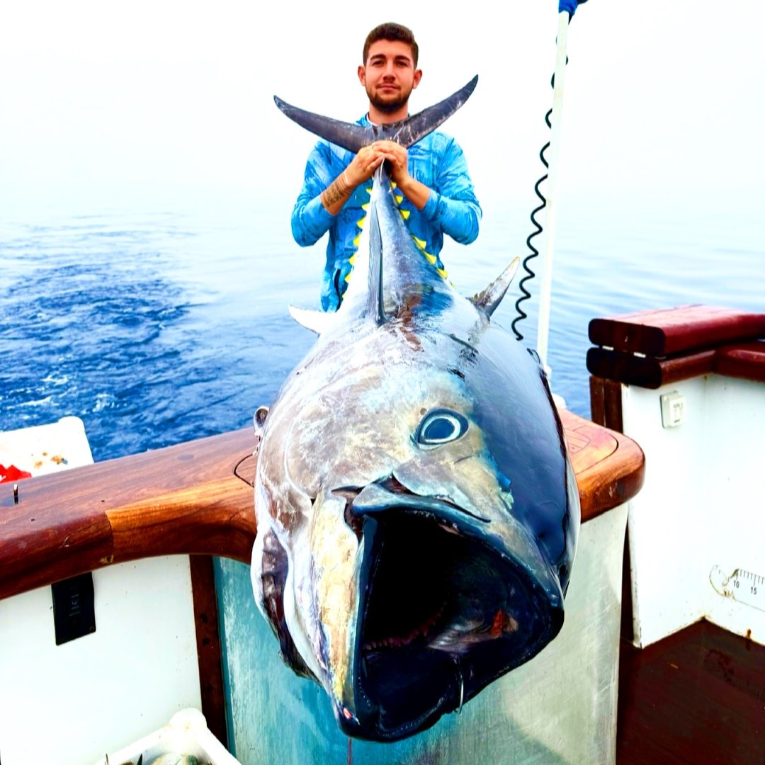 Tuna Fishing Turkey