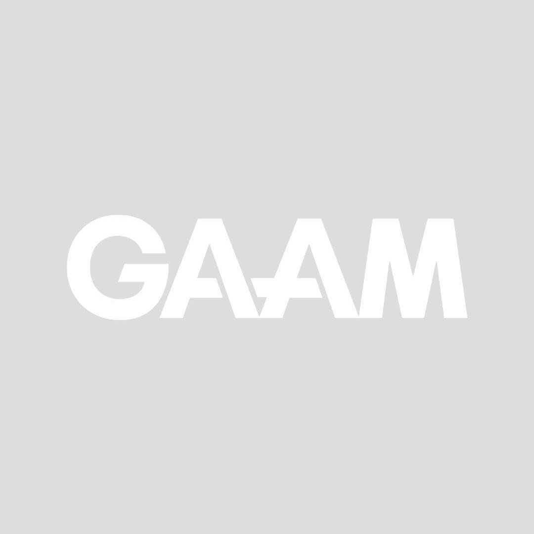 GAAM