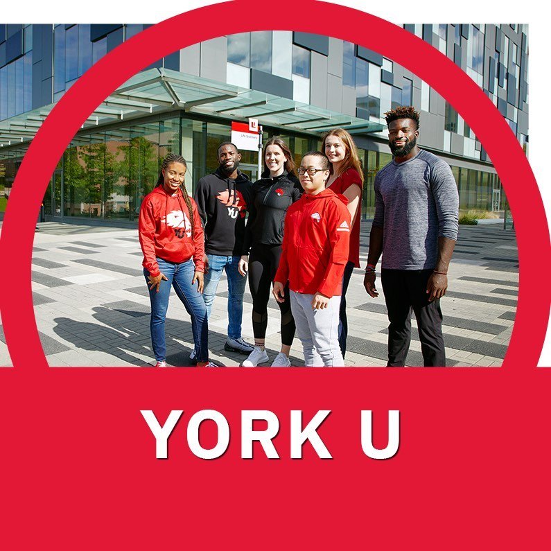 Career Education & Development at York University