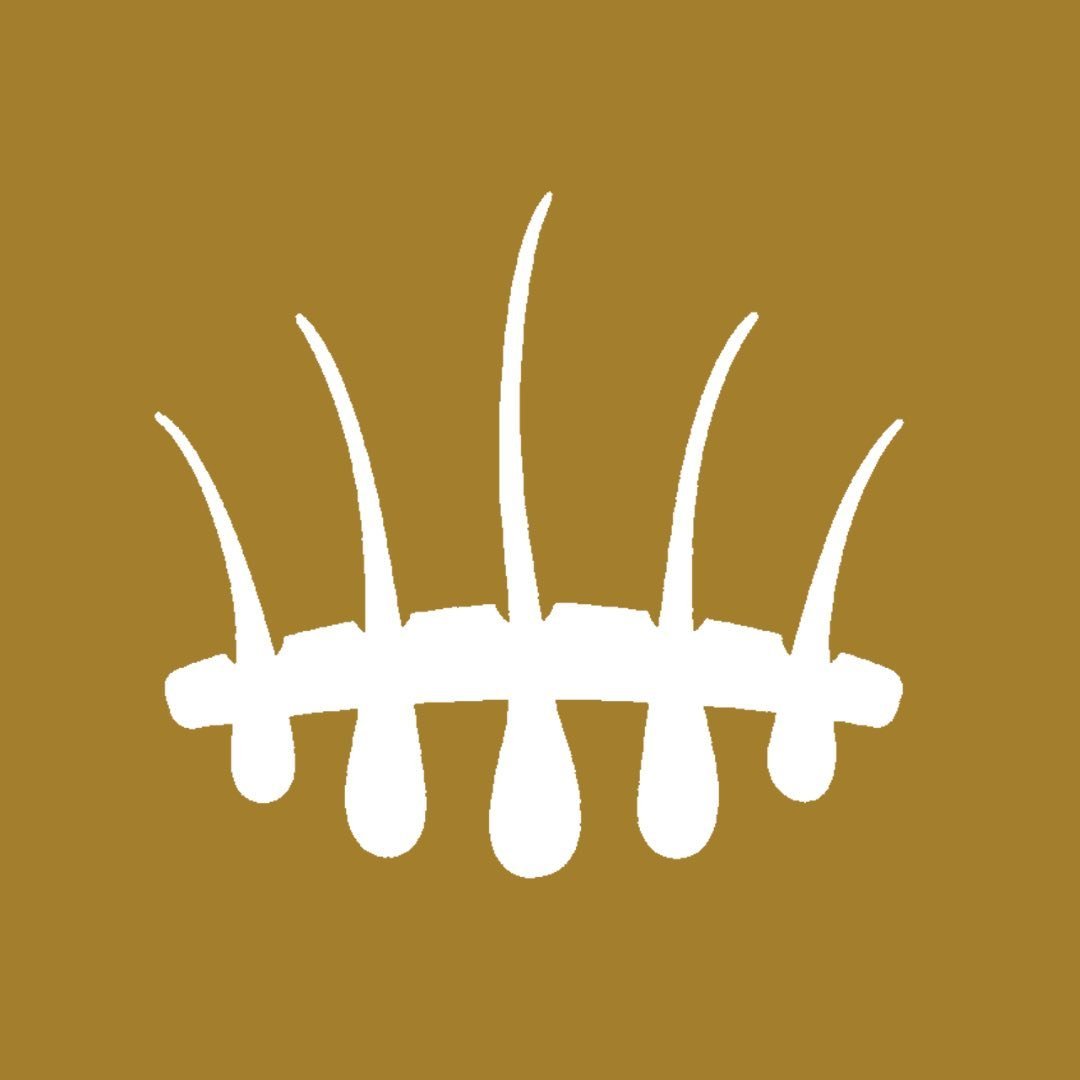 Hair Science Clinic - by Hair Science Institute