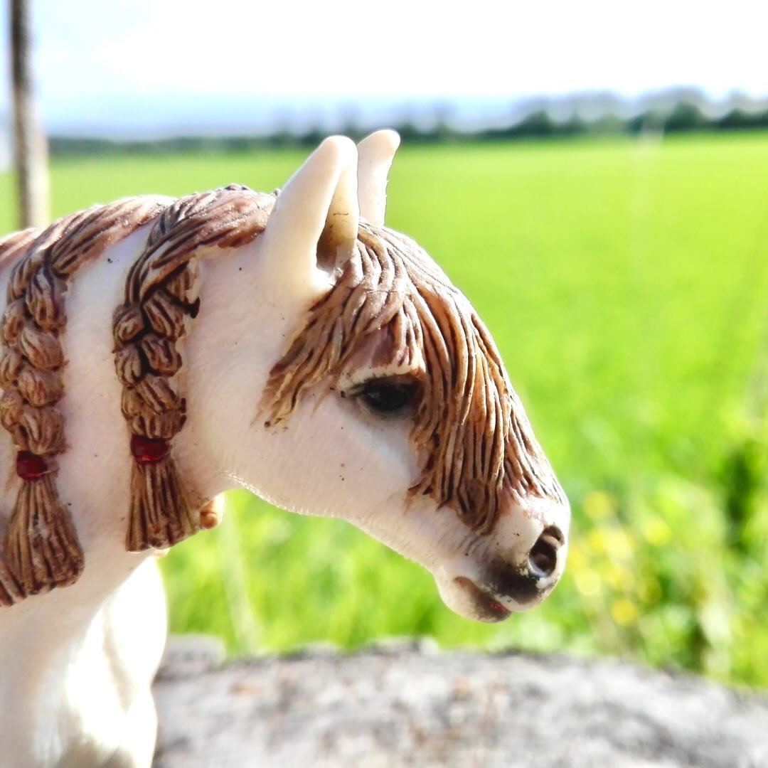 Schleichtalli Rambo