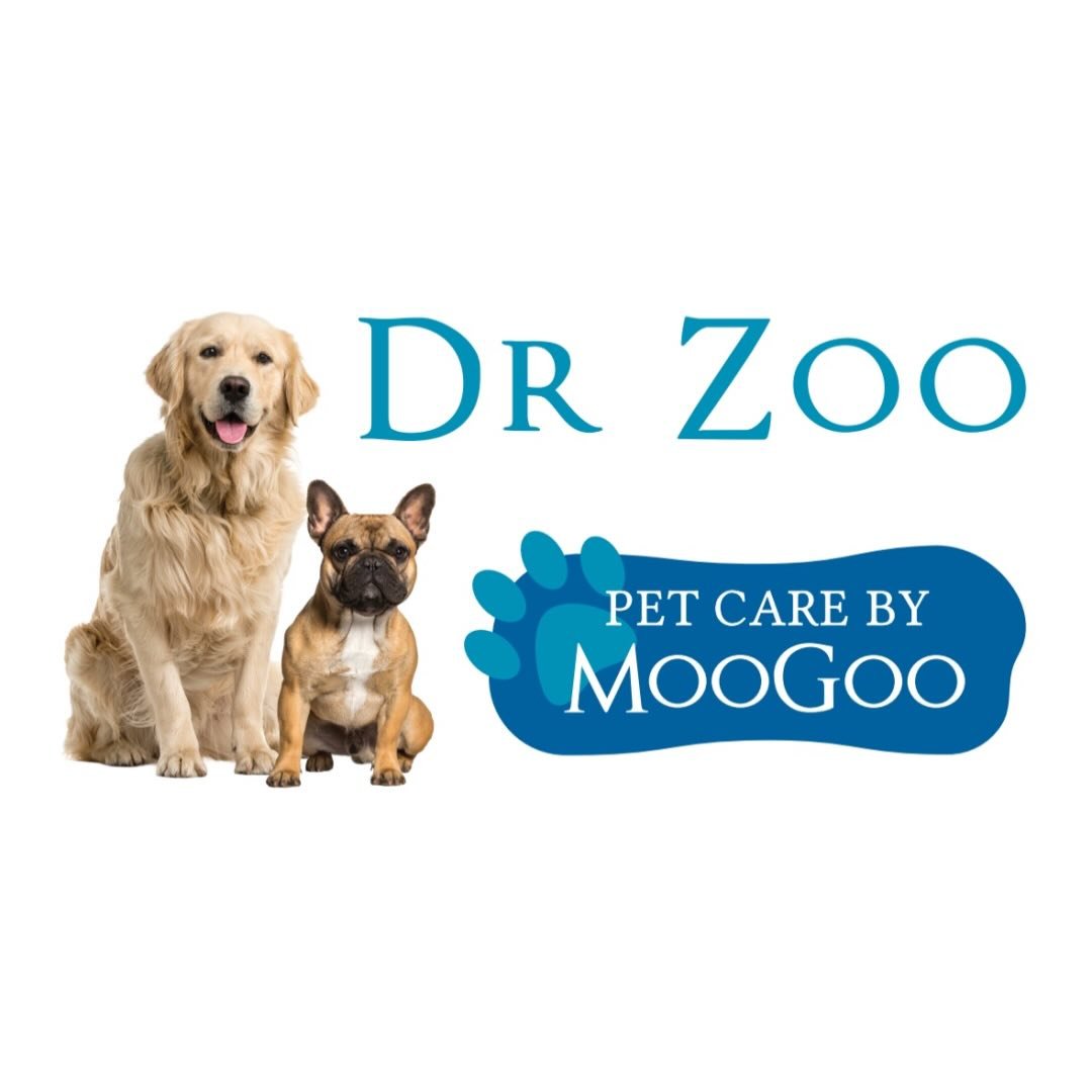 Dr Zoo