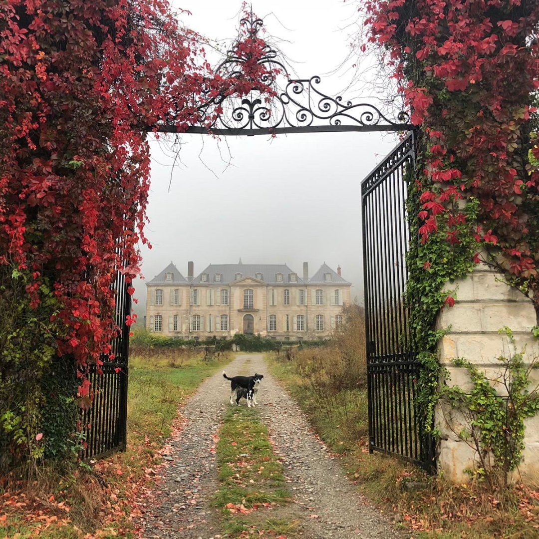 Château De Gudanes